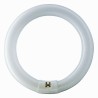 Dura Circolina Ai Trifosfori T9 G10q 22W 841 4100K 1150 Lumen 2284T Dimmerabile