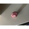 POMELLI PER MOBILI              NUOVO