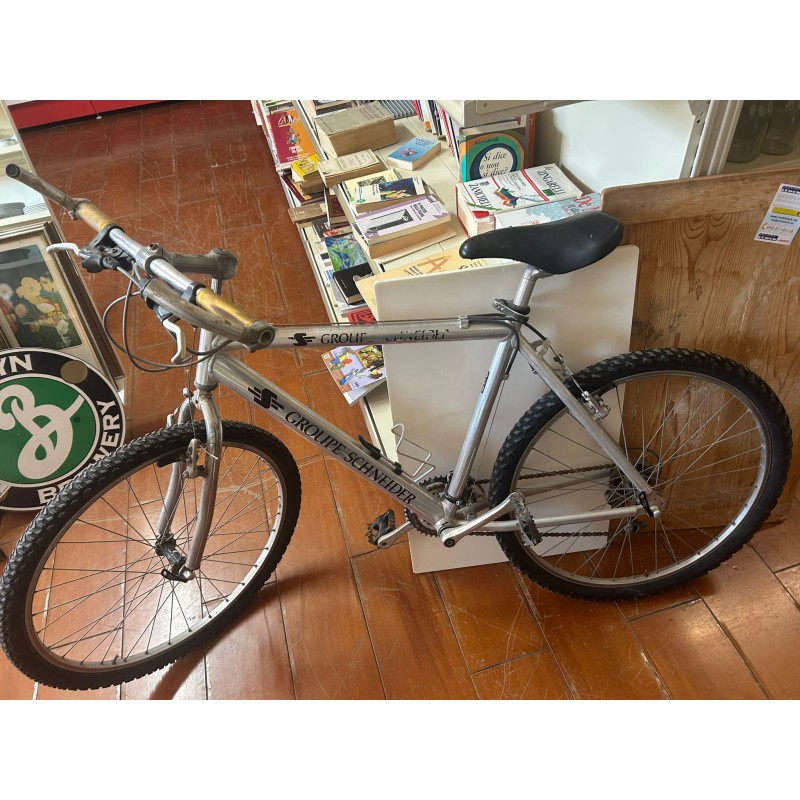 BICICLETTA GROUPE SCHNEIDER              USATO