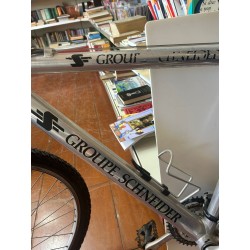 BICICLETTA GROUPE SCHNEIDER              USATO