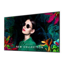 MON 65DS VA 4K 500NIT 4000:1 HDMI QM65C WIFI LAN MM