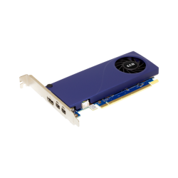 VGA SPARKLE Intel ARC A310 4GB ECO