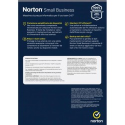NORTON SMALL BUSINESS 1USER 6 DEV 250GB BACKUP 12 MESI