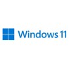 SW MS WINDOWS 11 PRO 64BIT 1PK DSP OEI DVD