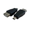 Adattatore da USB Femmina a Mini USB Maschio