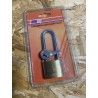 Lucchetto Ottone Arco Lungo GTG 18438 Misura 38mm con Chiavi Nuovo
